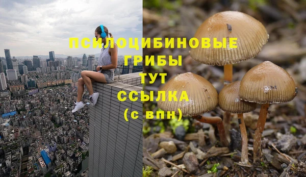 ешки Инсар