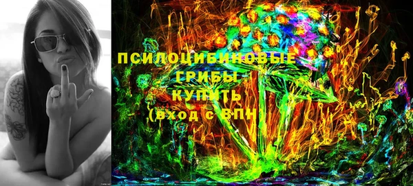 ешки Инсар