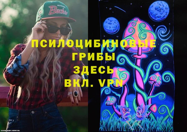 ешки Инсар