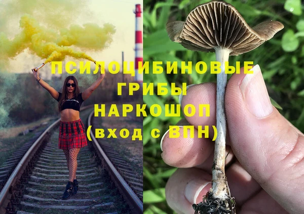 ешки Инсар