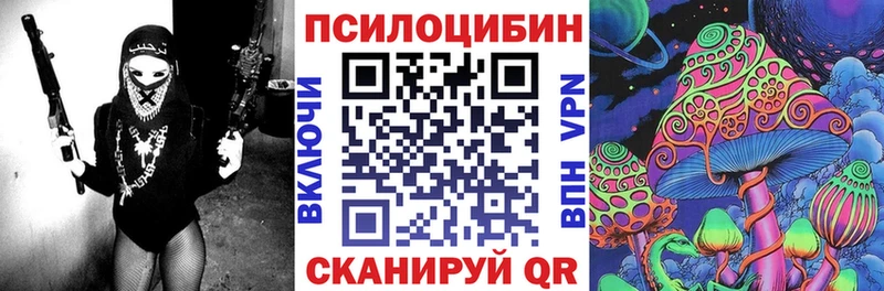 Купить  Дмитров  Галлюциногенные грибы Cubensis 